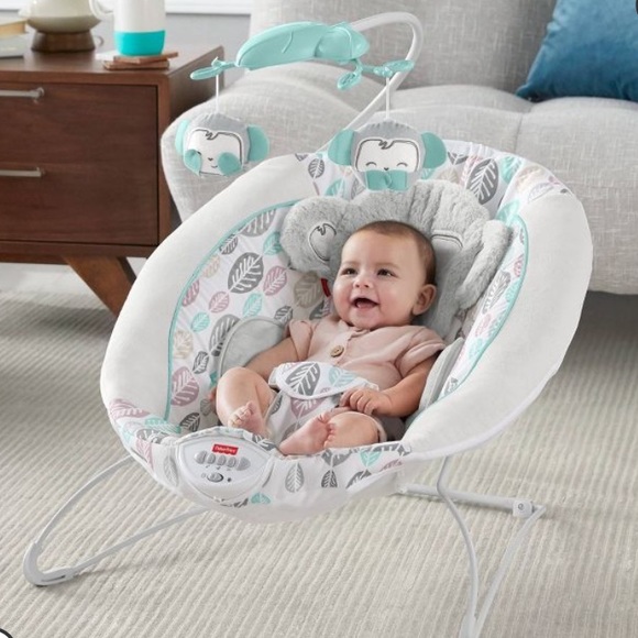 fisher price snugamonkey bouncer